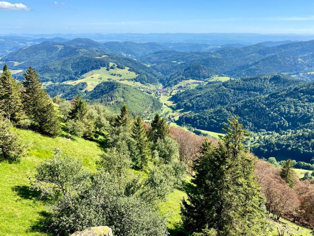Ferienwohnung Zur Bierliebe - Mit Toller Aussicht Im Herzen Des Schwarzwaldes Hornberg Exterior photo